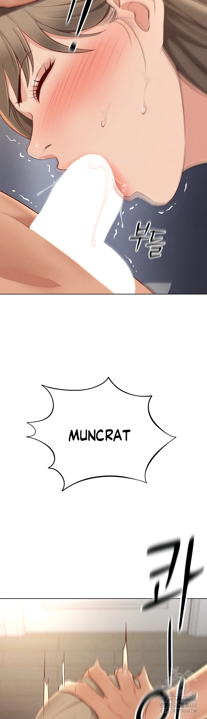 Common Sense Manipulation Program - Page 15